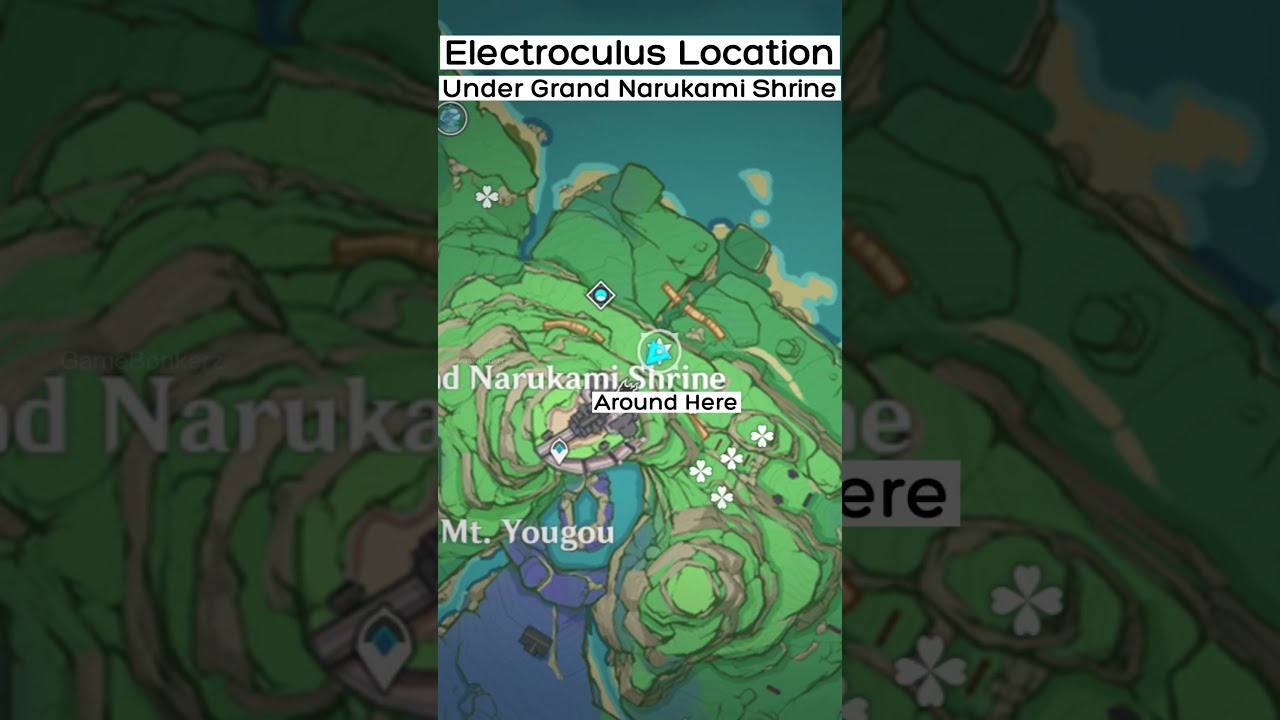Electroculus Location - Grand Narukami Shrine