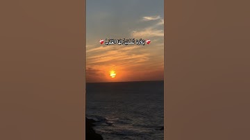 لا تنسوا اخواننا بالدعاء 🩸🇵🇸#سورة_الزمر #اكسبلور #explore #ماهر_المعيقلي #تلاوة_خاشعة #فلسطين