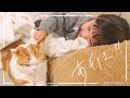 寝たい猫とおしゃべりが止まらない女の子の攻防