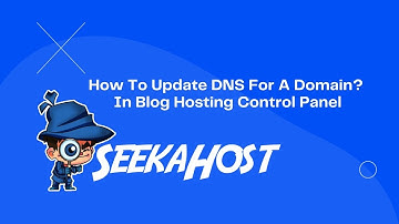 How To Update The DNS For A Domain Name In SeekaHost