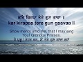 Kar kirpa tere gun gavan| ਕਰਿ ਕਿਰਪਾ ਤੇਰੇ ਗੁਣ ਗਾਵਾ | bhai satinderbir singh | lyrics | translation