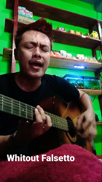 Evo- Amalia (MaleCover)