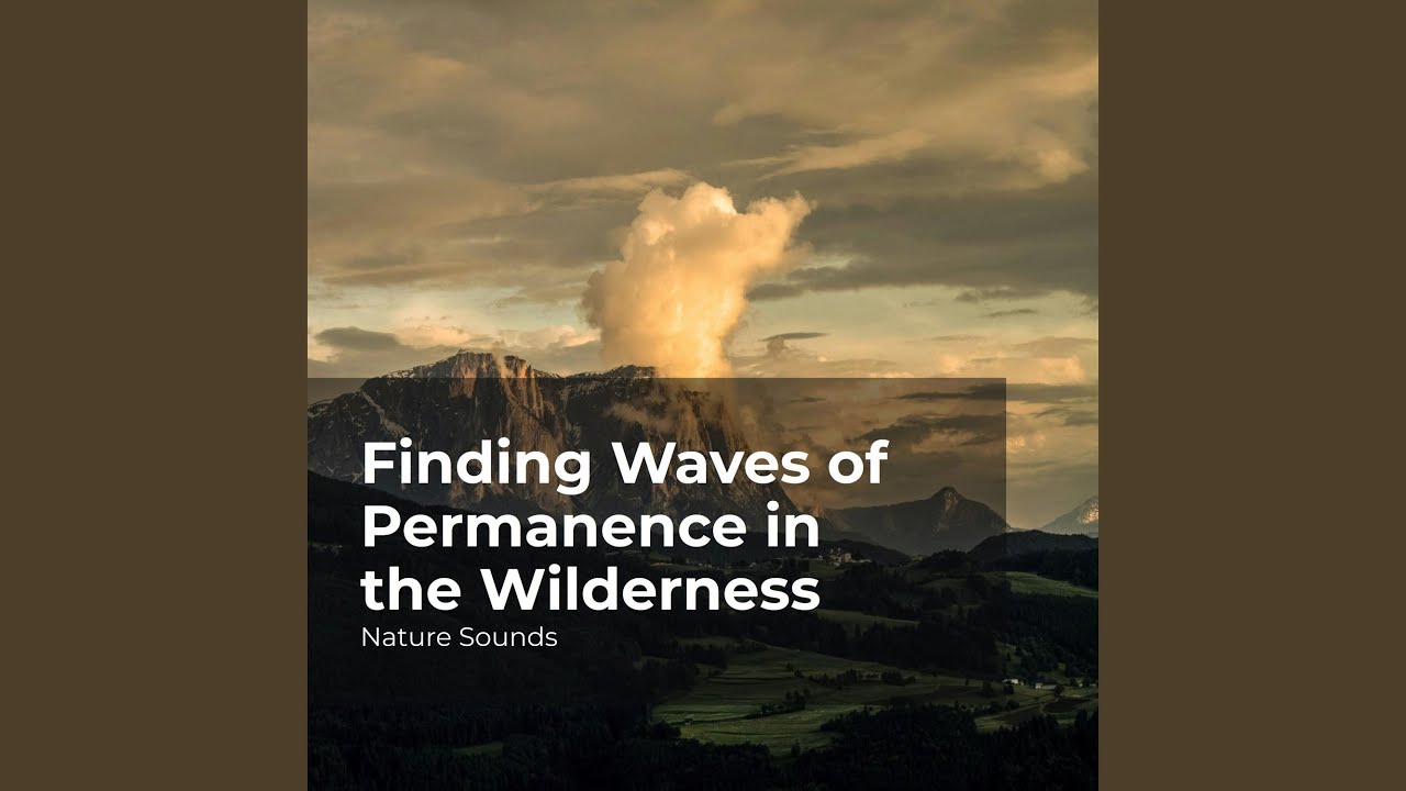 Finding Waves of Permanence in the Wilderness