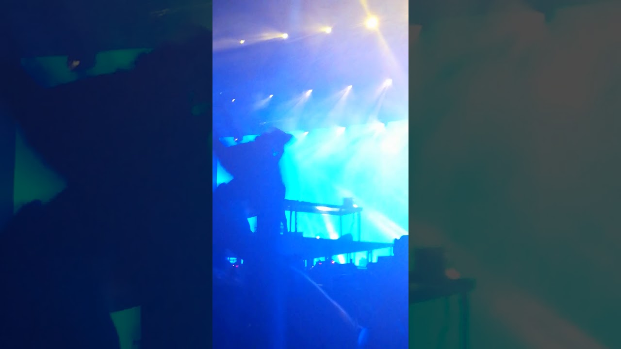 Alan Walker's NEW SONG "PLAY" played on FEST Festival 2019