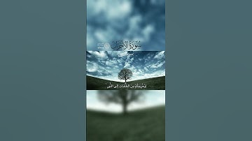 ‎آيات من سورة الأحزاب #القرآن_الكريم #القرآن #قران #قرآن #قران_كريم