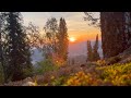 Белокуриха. Терренкур имени Бреславского.