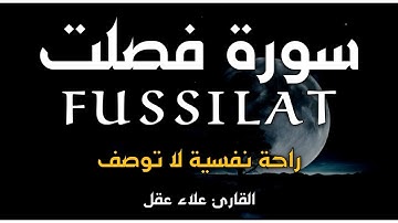 سورة فصلت ( كاملة ) تلاوة تريح القلب والعقل للقارئ علاء عقل Surah Fusiilat by Alaa Aql