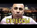 Инсульт. Недавно родившую дочь Иосифа Пригожина спасают медики