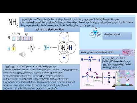 ამინები  მე-11კლასი