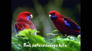 Burung Kenek-kenek - Fauziah Latiff