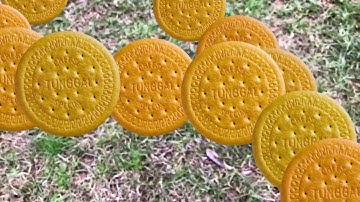 ARKit / Experiment with SpriteKit and AR and subtle coloring.