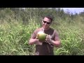 Coconut Water Benefits