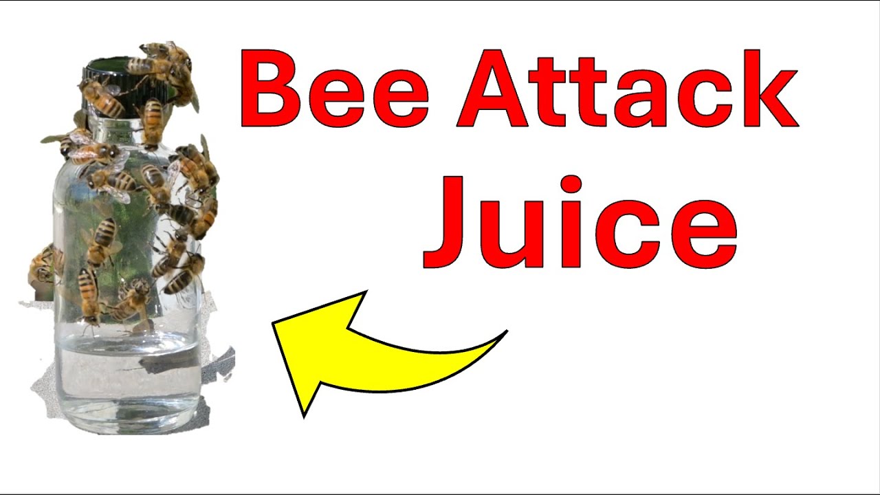 I Created Isoamyl Acetate and Released It Near Bees