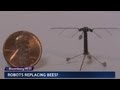 Buzz-Worthy: The World's Smallest Flying Robot