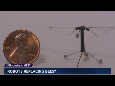 smallest flying robot