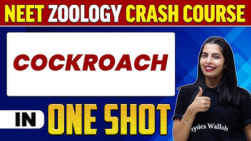 COCKROACH in 1 Shot : All Concepts, Tricks & PYQs |  NEET Crash Course | UMMEED