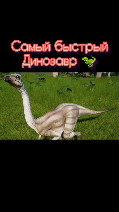 СТРУТИОМИМ - самый быстрый динозавр | #shorts - YouTube