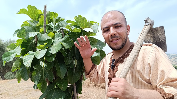 توكل على الله واغرس 🌲 أجواء البادية 😊🥰