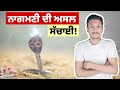 ਨਾਗਮਣੀ ਦਾ ਅਸਲੀ ਸੱਚ Is Naagmani Real or Fake | Reality Of Naagmani By Punjab Talkz
