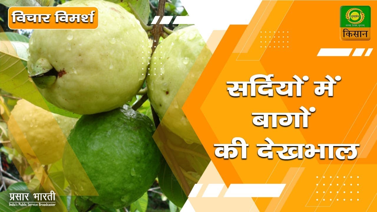 विचार - विमर्श : सर्दियों में बागों की देखभाल | Vichar Vimarsh