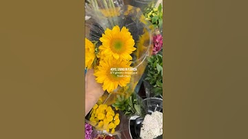 #groceryshopping #shoppingvlog #shopwithme #traderjoes #shoppinghaul #groceryhaul