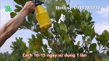 HUMIC RICH VIỆT NHẬT