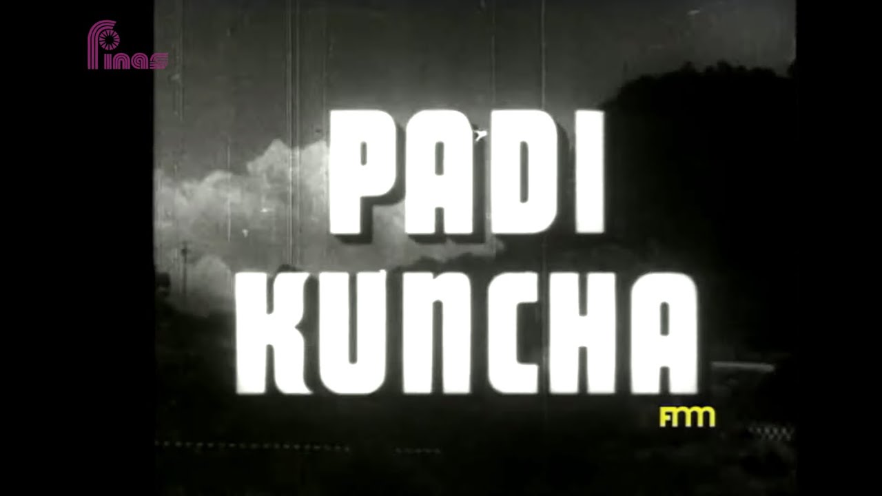 RETROSPEKTIF : 'Padi Kuncha' (Hassan's Homecoming) (1954)