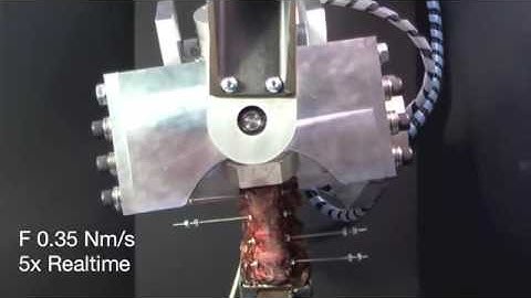 Robotic Spine Test: 360 Degree Bending / A-P View