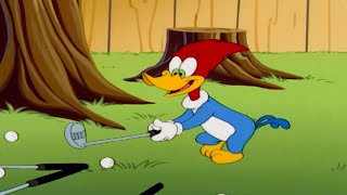 Woody: Golf Extraordinaire! | Woody Woodpecker