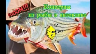 Консервы из рыбы в автоклаве. Вкусные рыбные консервы