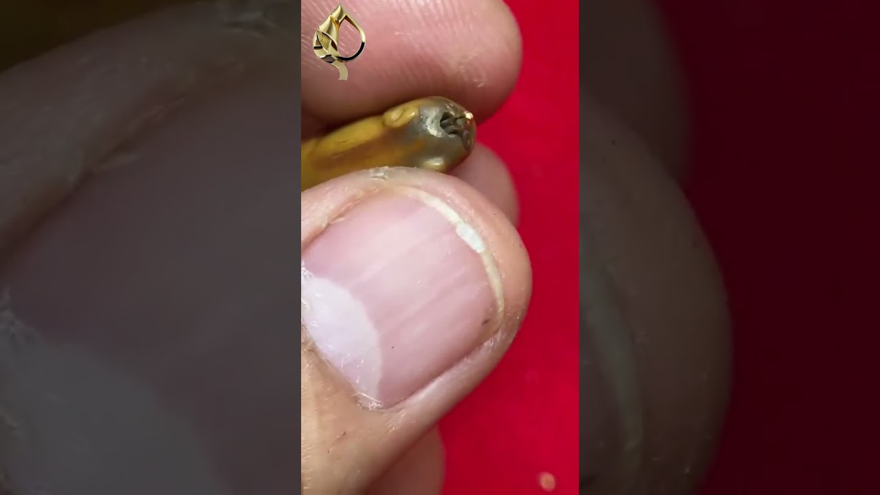 #พจน์ท่าพระจันทร์ พาดู #เขี้ยวเสือหลวงพ่อปาน กันครับ