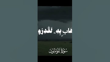 قران كريم اكتب شيء تؤجر عليه يوم لا ضل إلا ضله #اكسبلور #المصحف #nature #الرحمن #funny #القزابري