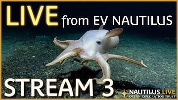 Nautilus Live | Channel 3 Stream