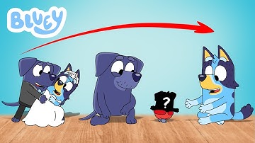 Bluey And Other Couple Life After Happy Compilation | GO WOW