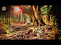 Relaxation music | Nature - Forest sounds - Birds | Music to relax and fall asleep