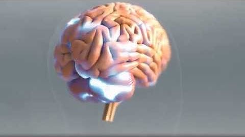 Nerium EHT Brain Health