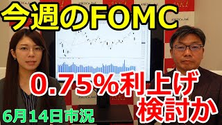 2022年6月14日【今週のFOMC　0.75％利上げ検討か】（市況放送【毎日配信】）