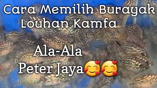 Cara Memilih Burayak Louhan Kamfa Didalam Satu Comptenk