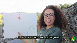 Mapping Nature Journaling Activity