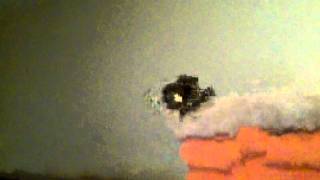 Burt the Meyer's parrot fluttering his wings