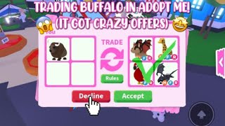 Acting Like Buffalo Is Worth 2-3 MEGA FROST DRAGONS! (Adopt Me)