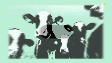 Why Many Antibiotics No Longer Work