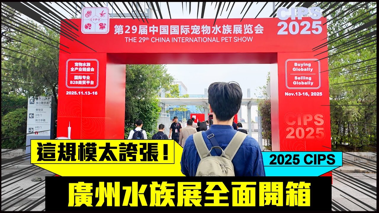 水族人帶你逛2025CIPS廣州水族展，新品、造景、魚種比賽一次解鎖