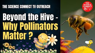 Beyond the Hive - Why Pollinators Matter? #pollinators #pollination