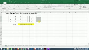 Tutorial Excel 2013+, multiplicar matriz por vector