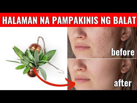 Video: 3 Mga Paraan upang Gumawa ng Mineral na Pampaganda