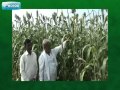 Migrow agro products india manufacturer of bio organic agricultural solutions