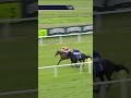 Lars Soldier wins, but Ballydoyle’s Confucius a massive eyecatcher in second 👀