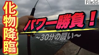 【大物ヒット】まさか…突然こんなバケモノがかかったら皆さんどうしてるんですか？準備不足でピンチ！これからは突然の大物も視野に入れておかなければいけないと思いギャフ買いました…