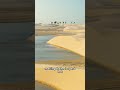 Sahara Desert Secrets